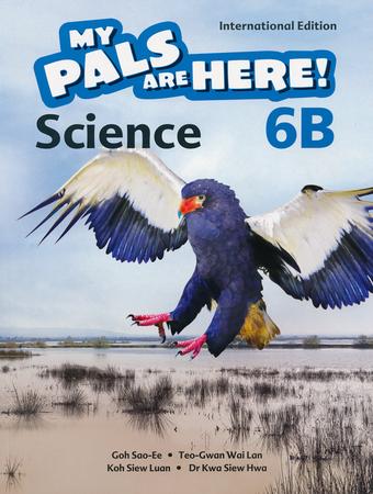 MPH Science International Edition Textbook 6B