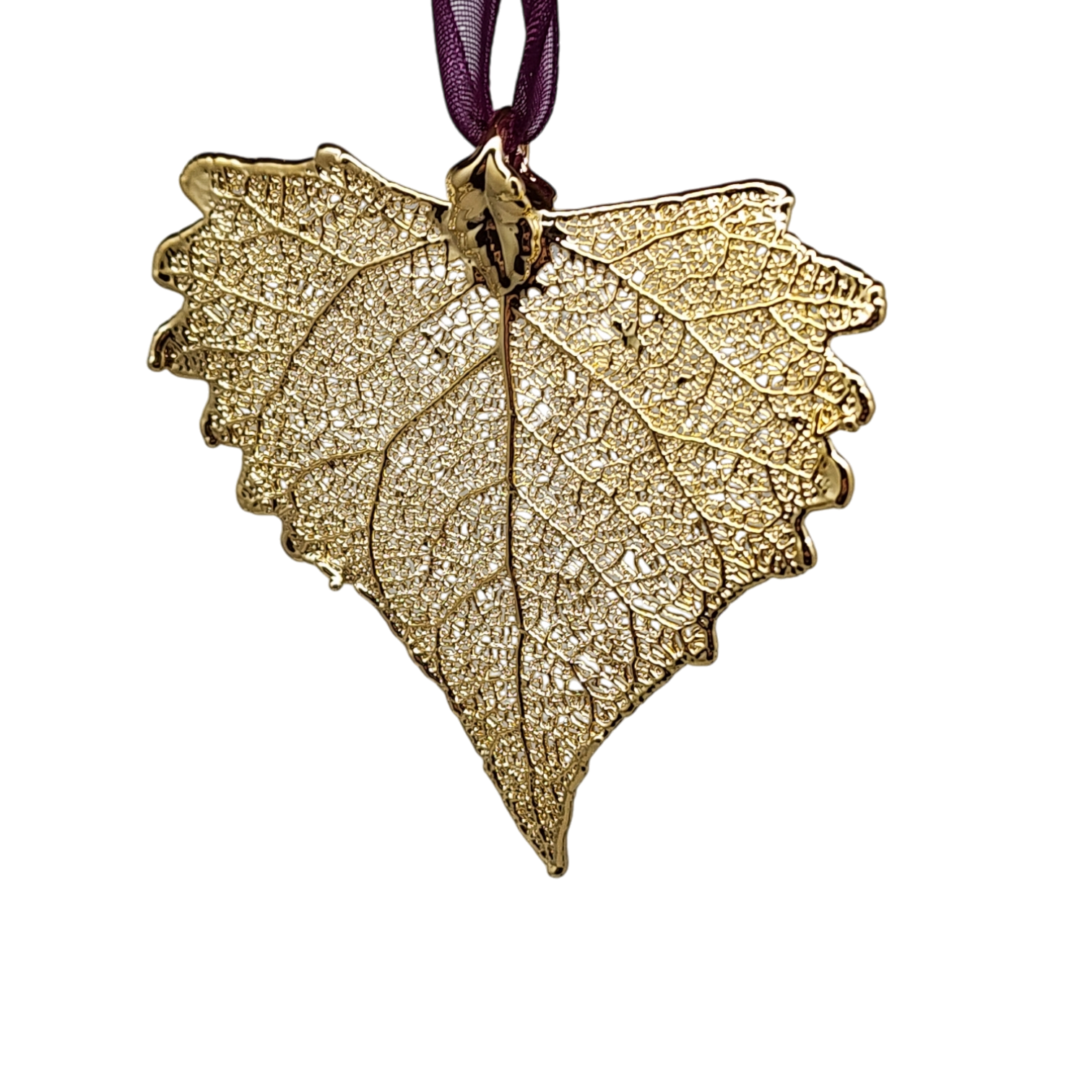 Gold Cottonwood Leaf with Sheer Ribbo…