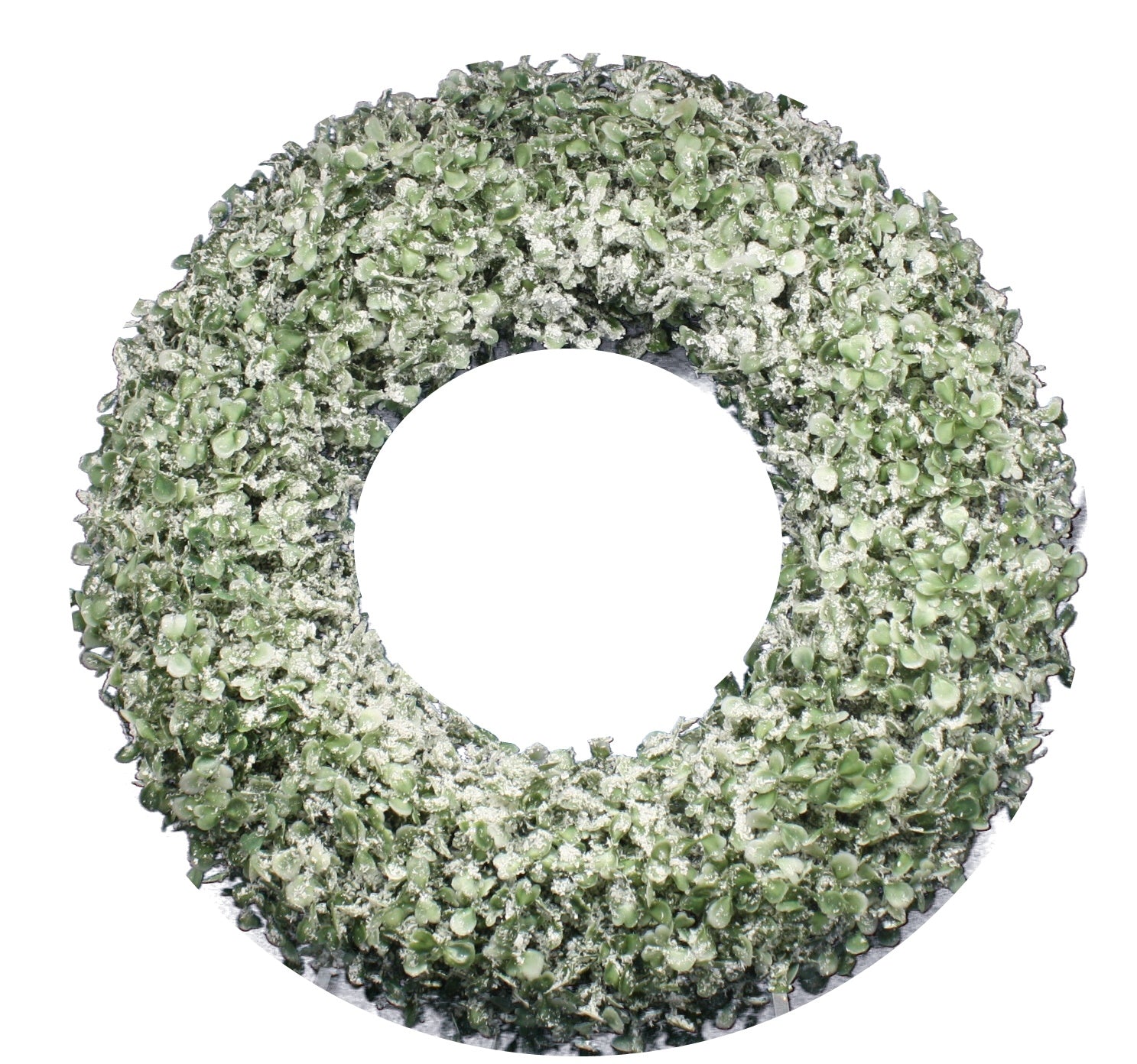 Frosted Boxwood Wreath