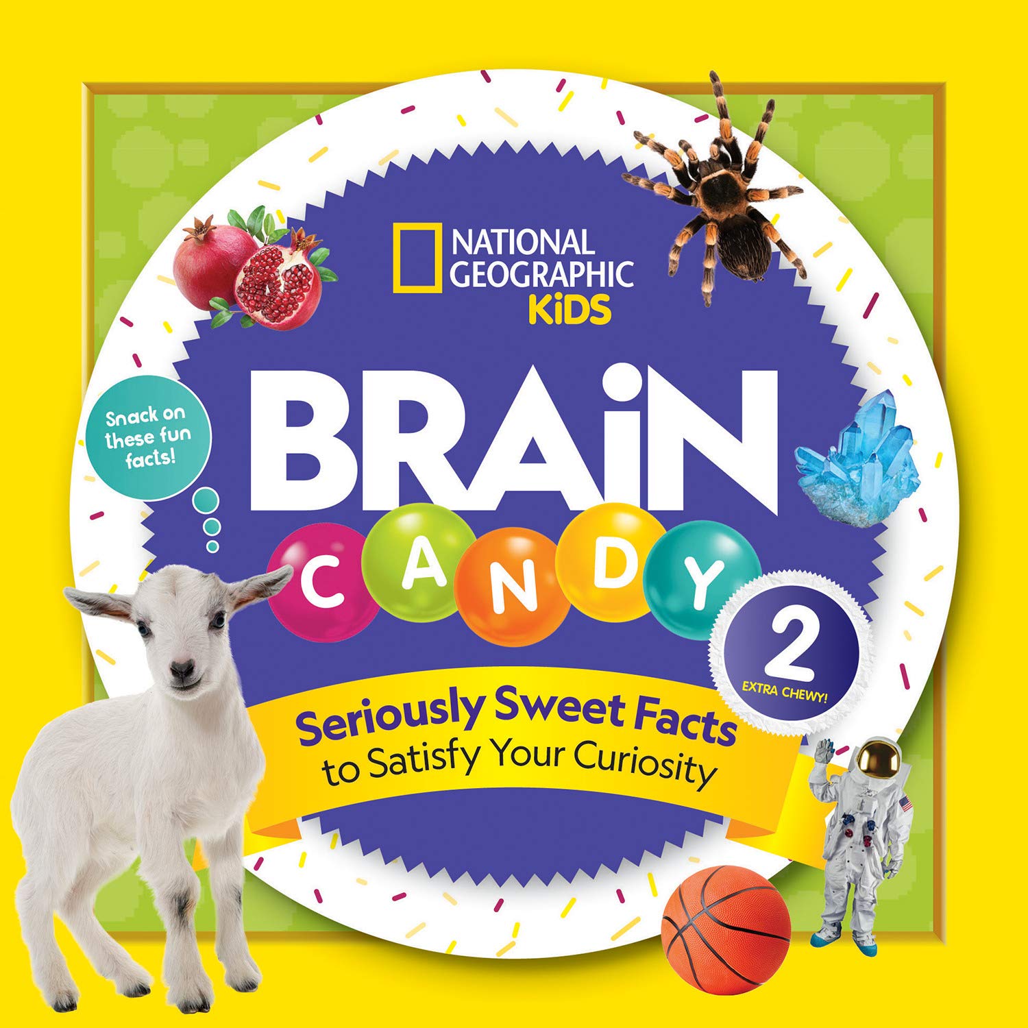 National Geographic Brain Candy 2